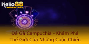 A Ga Campuchia Kham Pha The Gioi Cua Nhung Cuoc Chien Ke Nay Lua