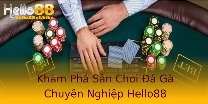 Khám Phá Sân Chơi Đá Gà Chuyên Nghiệp Hello88
