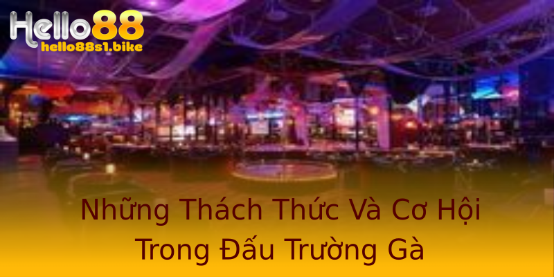 Những Thách Thức Và Cơ Hội Trong Đấu Trường Gà